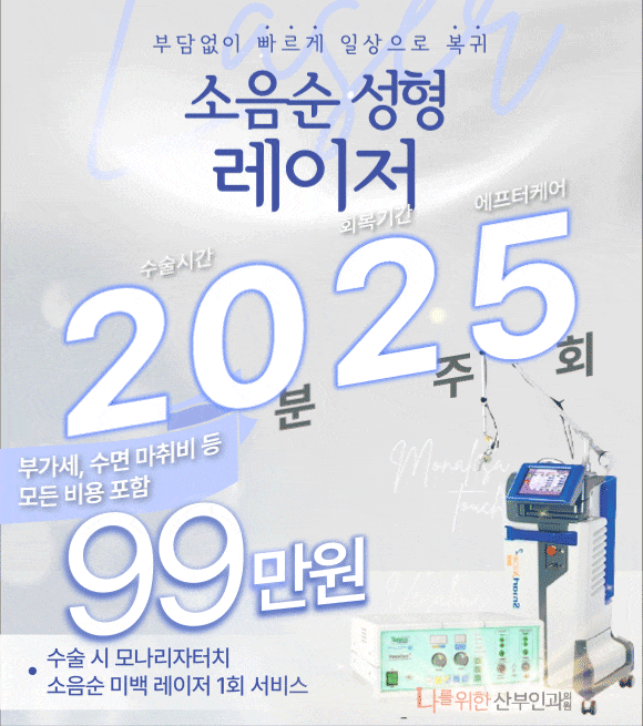소음순 성형 레이저