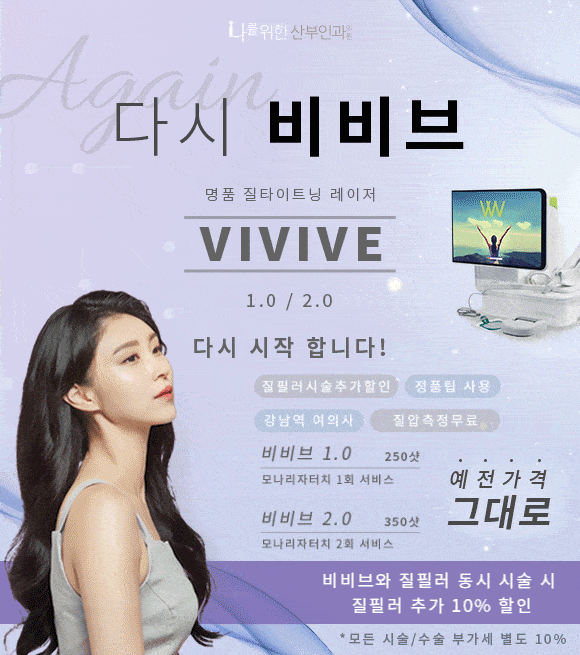 다시비비브